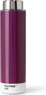 Image de Gourde Tritan, aubergine 229