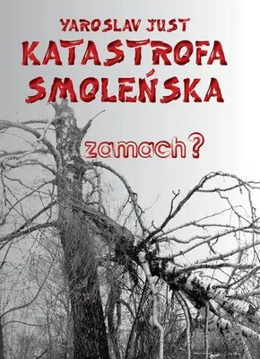 Image de Assassinat lors de la catastrophe de Smolensk ?
