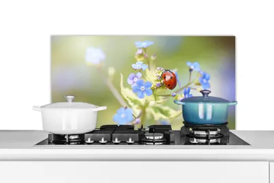 Produktbild von KitchenYeah®  Spritzschutz Küche - Küchenrückwand - Wandschutz für Herd und Spüle - Marienkäfer - Blume - Frühling 80x40 - Alu-Dibond (Alternative zum Spritzschutz aus Glas) - Hitzebeständig - Herdspr