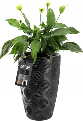 Image de KADAX Pot de fleurs avec insert "Jesi", bac à plantes en plastique, pot résistant aux UV, haut, 30 cm, noir