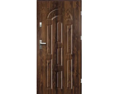 Obrázok produktu pre Vchodové dvere oceľové Aurora P55 90 P hnedé otváranie von