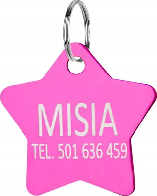 Image de Badge étoile pendentif à graver pour collier de chien et chat rose