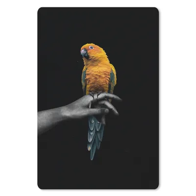 Produktbild von MuchoWow® Mauspad Mousepad Vogel - Zweig - Papagei 40x60 cm - Mousepads - Maus Mat - Pad - Mausunterlage - Schreibtisch Accesoire