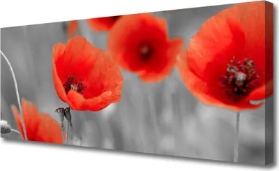 Produktbild von Tulup Leinwand-Bilder 125x50 Wandbild Canvas Kunstdruck Mohnblumen Pflanzen