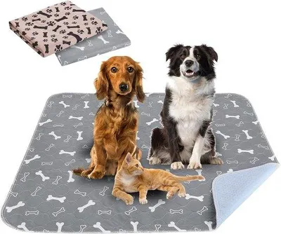 Image de Tapis d'entraînement pour chiens - 2 pièces, 80 x 70 cm - réutilisables et antidérapants - tapis absorbants pour chiens - pour chiens, chats, lapins et cochons d'Inde