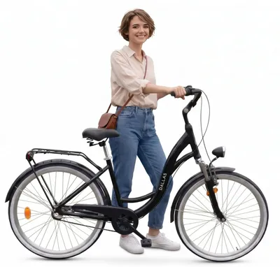 Zdjęcie produktu dla Rower Dallas City Alu 26" 3spd - czarny