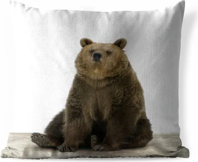 Produktbild von MuchoWow® Outdoor Kissen - Braunbär - Tiere - Bär - Niedlich - Jungen - Mädchen - 60x60 cm - Wetterfest - Lounge Kissen - Dekoration - Schlaf Kissen