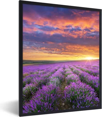 Produktbild von MuchoWow® Gerahmtes Poster Lavendel - Wolken - Frühling 60x80 cm - Poster mit Schwarzem Bilderrahmen Wandposter Rahmen Foto Bilder - Premium - Wanddeko Wohnzimmer