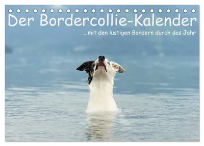 Produktbild von Der Bordercollie-Kalender (Tischkalender 2027 DIN A5 quer), CALVENDO Monatskalender