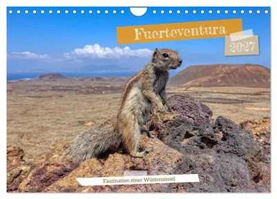 Produktbild von Fuerteventura - Faszination einer Wüsteninsel (Wandkalender 2027 DIN A4 quer), CALVENDO Monatskalender