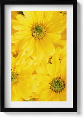 Produktbild von Blumenblüten– Wandbild mit Rahmen – Gerahmtes Bild  – Wanddekoration – 40x60 cm –  Schwarz