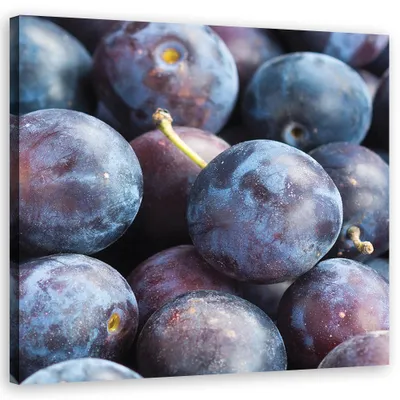 Produktbild von Leinwandbild Pflaume Makroaufnahme 60x60 Feeby Violett bild für die wand bereit zum aufhängen
