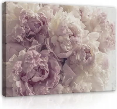 Obrázek produktu pro Obraz na plátně květiny pivoňky černé 60x40 cm velký moderní obraz na plátně plátno obraz nástěnný obývací pokoj ložnice