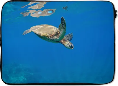 Produktbild von MuchoWow® Laptop Hülle 14 ZollSchildkröte schwimmt im Meer Laptoptasche - Laptoptasche - Stoßsicher - Schutzhaube