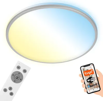 Produktbild von LED Deckenleuchte CCT WiFi Bluetooth App 24W silber Metall-Kunststoff Briloner