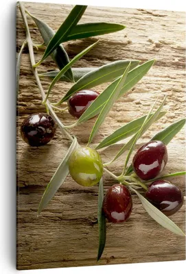 Produktbild von Bild auf Leinwand - Leinwandbild - Einteilig - Oliv italien aroma diät - 50x70cm - Wand Bild - Wanddeko - Wandbilder - Leinwanddruck - Wanddekoration - Leinwand bilder - Wandbild - PA50x70-2420
