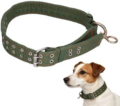 Produktbild von Robustes Canvas Halsband für Schafe und Ziegen zur Tieridentifizierung