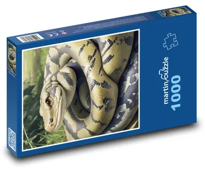 Obrázek produktu pro martinpuzzle - Puzzle 1000 - Had