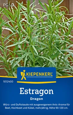Produktbild von Kiepenkerl Estragonsamen Dragon Artemisia dracunculus 200 Pflanzen