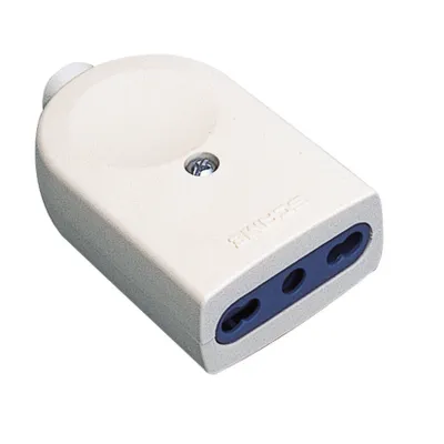 Obrázok produktu pre Poly Pool PP0466, 2P+T, Biela, 250 V, 16 A