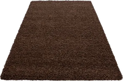 Produktbild von Teppich Wohnzimmer Hochflor Braun 120x170 Rechteck Unicolor - Einfarbig aus Polypropylen