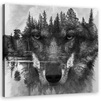 Produktbild von Leinwandbild Schwarzer Wolf Abstraktion 40x40 Feeby Schwarz-Weiß bild für die wand bereit zum aufhängen