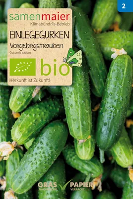 Artikelbild 1 von 'BIO Einlegegurken Vorgebirgstrauben' aus der Kategorie Einlegegurkensamen