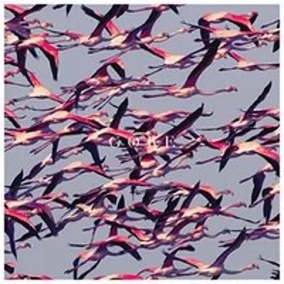Obrázok produktu pre Deftones: Gore - Reprise - (CD / G)