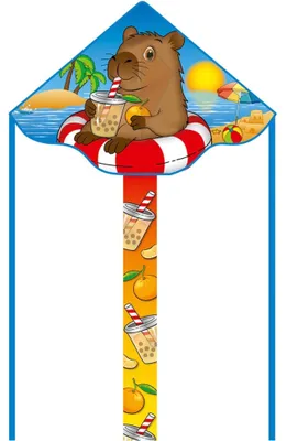 Productafbeelding van Kinderdrachen HQ, eenvoudige vlieger, model "Capybara", artikelnummer 102008, multicolor, afmetingen 120 x 75 cm