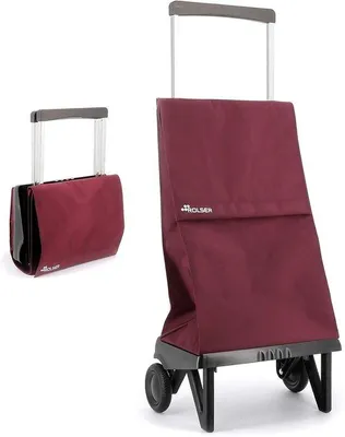 Productafbeelding van Opvouwbare Winkelwagen met 2 Wielen - 45 L - Burdeos Kleur