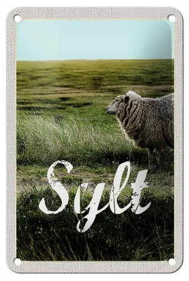 Produktbild von Blechschild Reise 12x18cm Sylt Insel Urlaub Wiese Schaf Dekoration