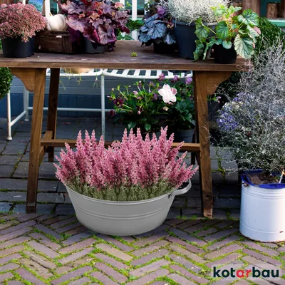 LKHDONG Metall Pflanzkübel 50x50x50 Cm – Schwarzer Quadratischer Blumenkübel Für Garten & Terrasse Inkl. Handschuhe
