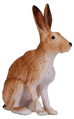 Obrázok produktu pre Mojo Fun Hare, 3 rok / roky, Wildlife, Hnedá, Biela, Polyvinylchlorid (PVC)