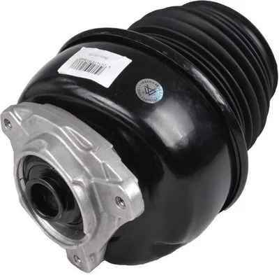 Produktbild von MiesslerAutomotive 11013-01-3138 Luftfederung Luftfeder passend für MERCEDES-BENZ E-Klasse Limousine (W212) Vorne