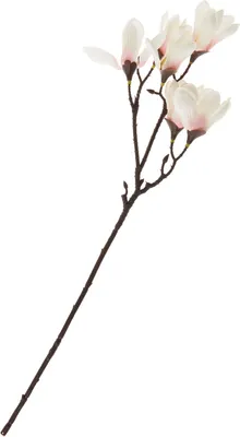 Produktbild von Magnolien-Pick mit  6 Blüten