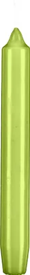 Produktbild von Leuchterkerzen Limonegrün 190 x Ø 21 mm, 48 Stück