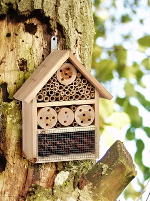 Produktbild von HI Insektenhotel Größe: 25x10x30 cm (57134)