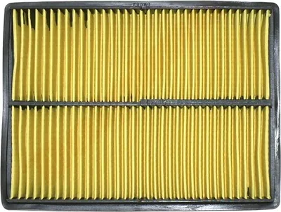 Immagine prodotto di Filtro aria per Honda Gx610, Gx620, Gxv610, Gxv620 ( 17210-Zj1-841 , 17210-Zj1-842 )