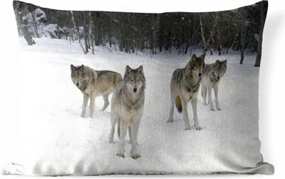 Produktbild von MuchoWow® Outdoor Kissen - Wolf - Schnee - Kanada - 50x30 cm - Wetterfest - Lounge Kissen - Sofa kissen - Wohnzimmer Dekoration