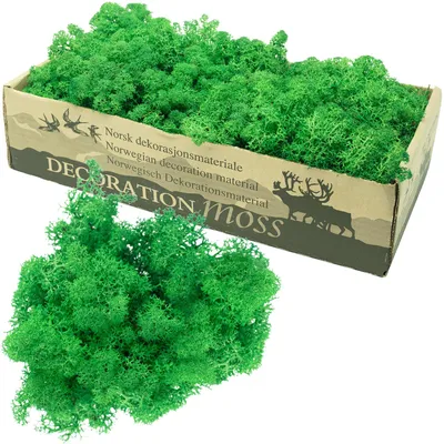 Isländisches Moos grasgrün, 500 g, für Deko & Modellbau