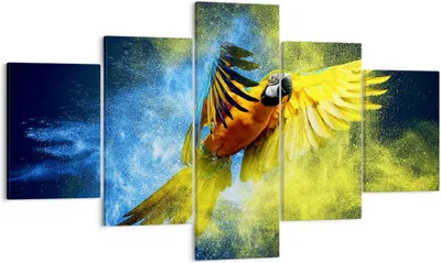 Produktbild von Bild auf Leinwand - Leinwandbild - Papagei Vogel Feder - 125x70cm - Wand Bild - Wanddeko - Leinwanddruck - Bilder - Kunstdruck - Wanddekoration - Leinwand bilder - Wandkunst - EA125x70-3666