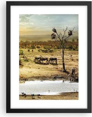 Produktbild von Gerahmtes Poster - Schwarzer Rahmen - Safari Tiere - 30x40 cm - Wand Bild - Wanddeko - Wandbilder - Kunstposter - Wandposter - Bilderrahmen - Bilder - Kunstdruck - Wandbild - P2BPA30x40-3880
