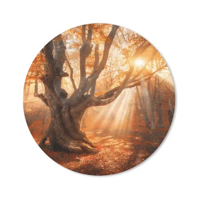 Produktbild von MuchoWow® Mauspad Mousepad Baum - Natur - Herbst 30x30 cm - Mousepads - Maus Mat - Pad - Mausunterlage - Tischunterlage - Schreibtischmatten