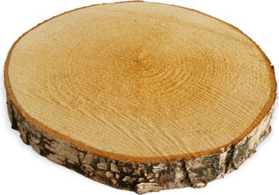 Baumscheiben 1 Stk. Dekoholz Holzscheibe Holzplatte 20 - 25 cm