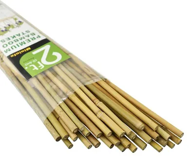 Image de Baguettes de bambou de 60 cm, lot de 30, pour plantes, piquets de jardin