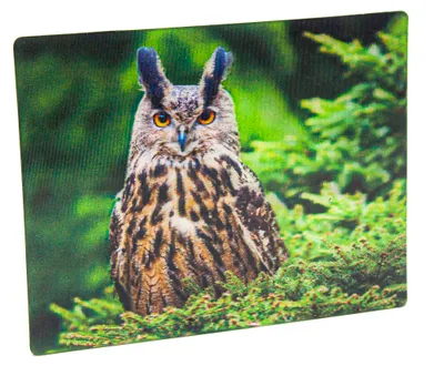 Produktbild von 3D Magnet Uhu