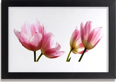 Produktbild von Bild 30x20 MDF-Rahmen Wandkunst Blumen Pflanzen
