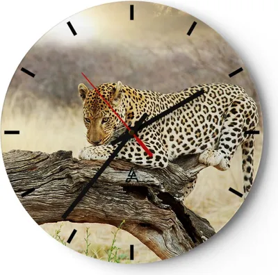 Produktbild von Wanduhr - Rund - Glasuhr - Afrika Leopard Katze Safari - 40x40cm - Schleichendes Uhrwerk - Lautlos - zum Aufhängen bereit - Dekoration Modern - Wanddekoration aus Glas - C3AR40x40-2599