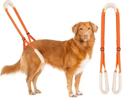 Produktbild von Famanu Hundehilfen Tragegeschirr und Rehabilitationsunterstützung für Mobilität - Orange