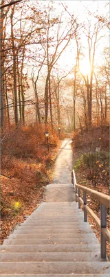 Produktbild von Wallario Poster - Weg in den Sonnenuntergang, Kunstdruck Größe: 80 x 200 cm